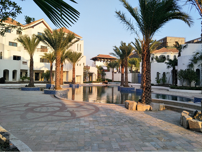 ʥ������