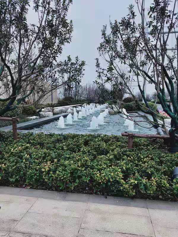 �º�����������԰